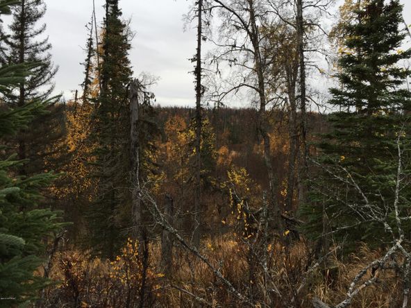 63885 Tailwind Rd, Ninilchik, AK 99639
